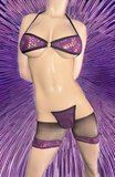 Exotic Dancer Purple 3 piece set
