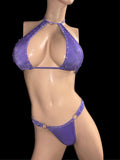 Exotic Purple Bikini