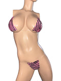 Exotic Dancer Micro Bikini