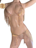 Exotic Dancer Top and thong