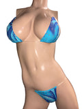 Exotic Blue Bikini