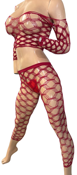 Sexy Red Net Pants and top